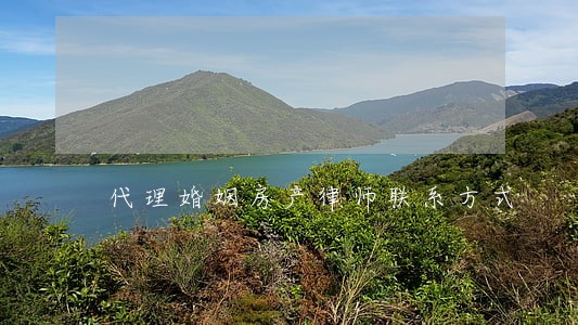 代理婚姻房产律师联系方式 代理婚姻房产律师联系方式