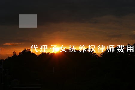 代理子女抚养权律师费用咨询