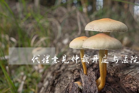 代理意见仲裁开庭与法院开庭