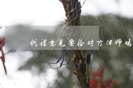 代理意见要给对方律师吗 代理意见要给对方律师吗