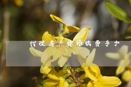 代理房产律师收费多少 代理房产律师收费多少