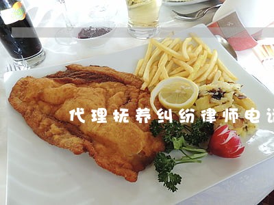 代理抚养纠纷律师电话咨询 代理抚养纠纷律师电话咨询