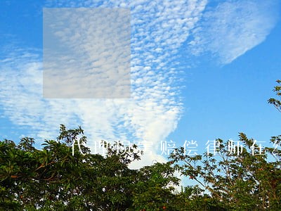 代理损害赔偿律师在线咨询 代理损害赔偿律师在线咨询