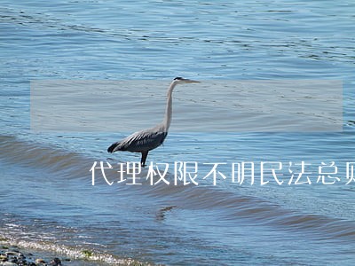 代理权限不明民法总则 代理权限不明民法总则