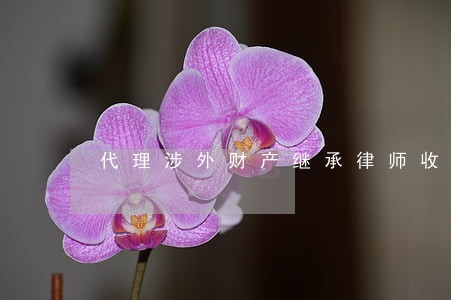 代理涉外财产继承律师收费 代理涉外财产继承律师收费