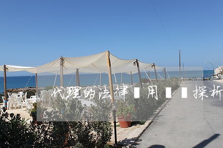 代理的法律適用規則探析 代理的法律適用規則探析