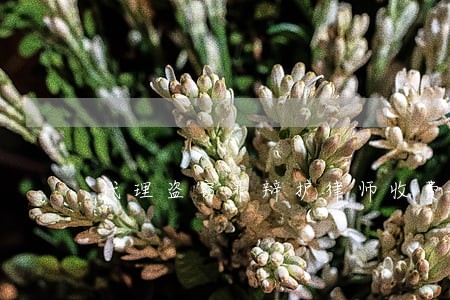 代理盗窃罪辩护律师收费标准 代理盗窃罪辩护律师收费标准