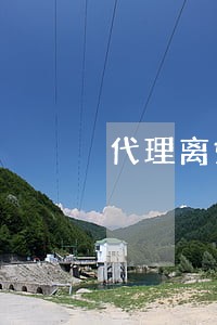 代理离婚律师收费标准