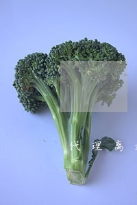 代理离婚诉讼律师费用 代理离婚诉讼律师费用