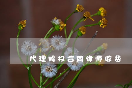 代理股权合同律师收费 代理股权合同律师收费