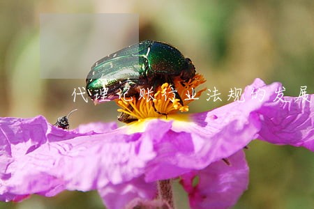 代理记账行业法规的发展 代理记账行业法规的发展