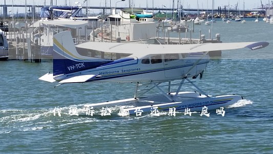 代理诉讼原告还用出庭吗 代理诉讼原告还用出庭吗