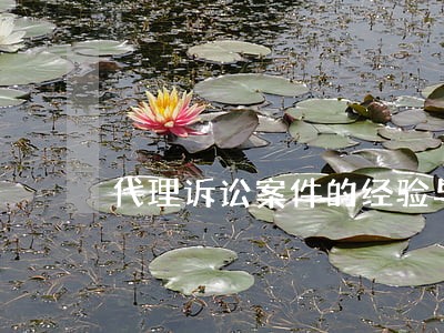 代理诉讼案件的经验与教训