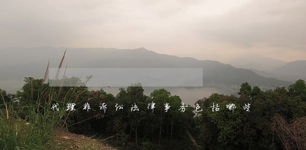 代理非诉讼法律事务包括哪些