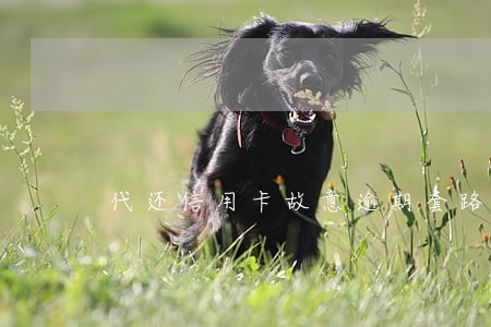 代还信用卡故意逾期套路 代还信用卡故意逾期套路