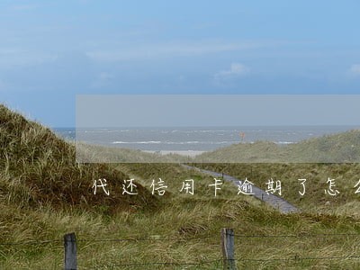 代还信用卡逾期了怎么办