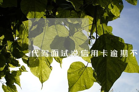 代驾面试说信用卡逾期不通过
