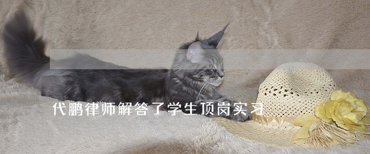 代鹏律师解答了学生顶岗实习 代鹏律师解答了学生顶岗实习