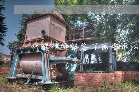 代鹏律师解答了离婚诉讼 代鹏律师解答了离婚诉讼