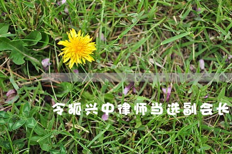 令狐兴中律师当选副会长 令狐兴中律师当选副会长