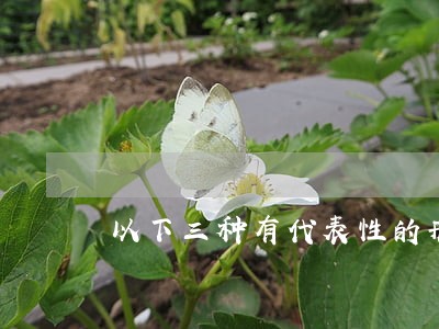 以下三种有代表性的刑法大系