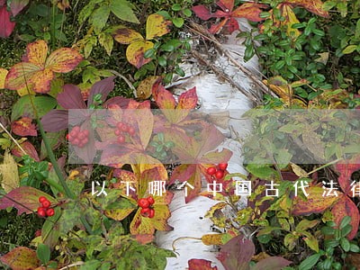 以下哪个中国古代法律是错误的 以下哪个中国古代法律是错误的