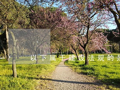 以下属于建设法规的是 以下属于建设法规的是