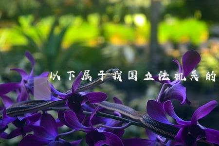 以下属于我国立法机关的是 以下属于我国立法机关的是