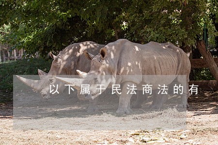以下属于民法商法的有