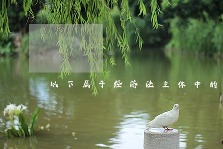 以下属于经济法主体中的调节主体 以下属于经济法主体中的调节主体