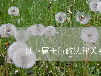 以下属于行政法律关系
