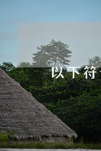 以下符合借贷记账法规则 以下符合借贷记账法规则