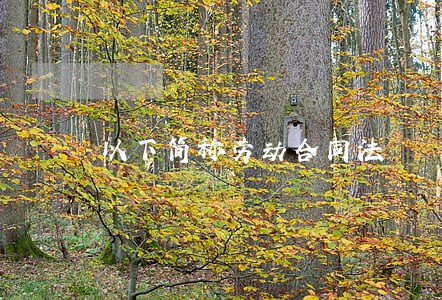 以下简称劳动合同法 以下简称劳动合同法