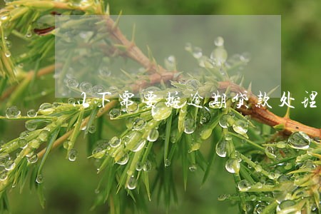 以下需要按逾期贷款处理的有 以下需要按逾期贷款处理的有