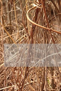 以不还按揭贷款对抗逾期交房 以不还按揭贷款对抗逾期交房