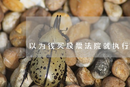 以为钱买股票法院就执行不到 以为钱买股票法院就执行不到