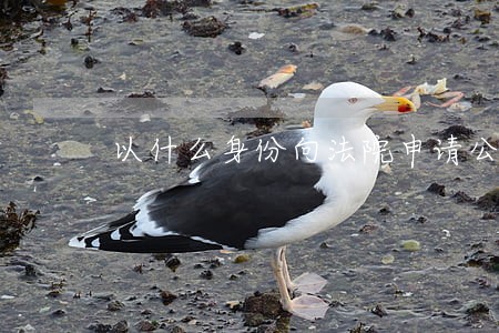 以什么身份向法院申请公示催告 以什么身份向法院申请公示催告