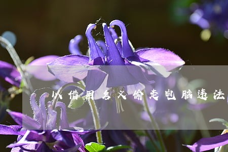 以借用名义偷走电脑违法吗 以借用名义偷走电脑违法吗