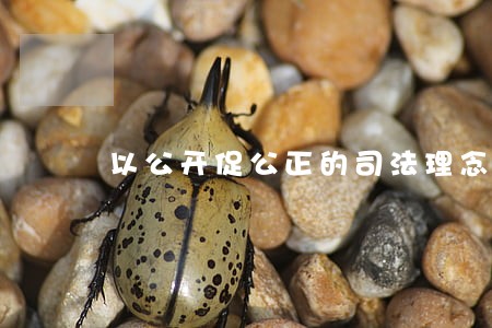 以公开促公正的司法理念