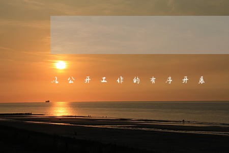 以公开工作的有序开展 以公开工作的有序开展