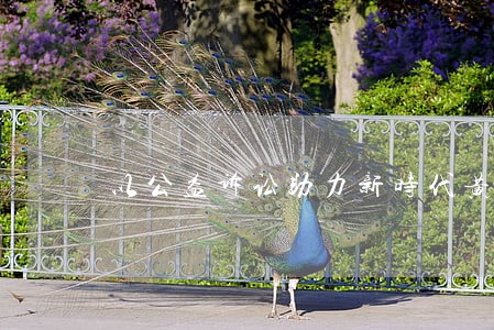 以公益诉讼助力新时代黄河保卫战 以公益诉讼助力新时代黄河保卫战
