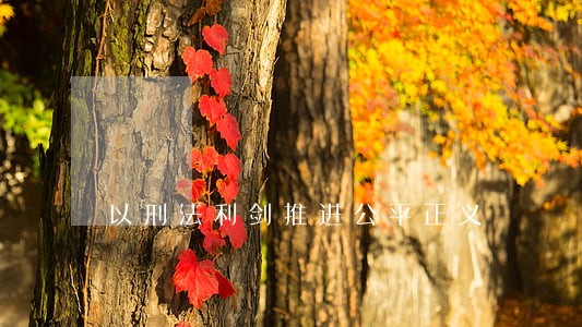 以刑法利剑推进公平正义 以刑法利剑推进公平正义