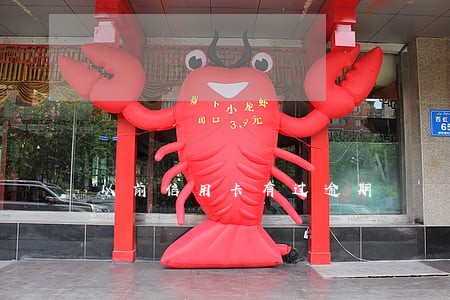 以前信用卡有过逾期