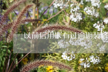 以前信用卡有过逾期装修贷 以前信用卡有过逾期装修贷