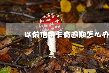 以前信用卡有逾期怎么办 以前信用卡有逾期怎么办
