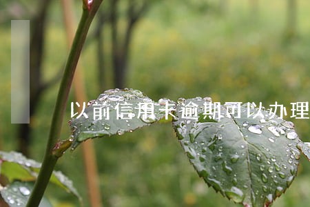 以前信用卡逾期可以办理信用卡吗