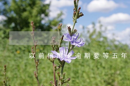 以前信用卡逾期要等五年