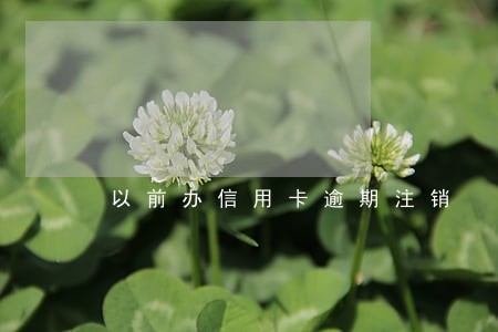以前办信用卡逾期注销 以前办信用卡逾期注销