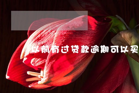 以前有过贷款逾期可以买车吗 以前有过贷款逾期可以买车吗