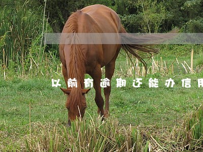 以前有逾期还能办信用卡吗 以前有逾期还能办信用卡吗